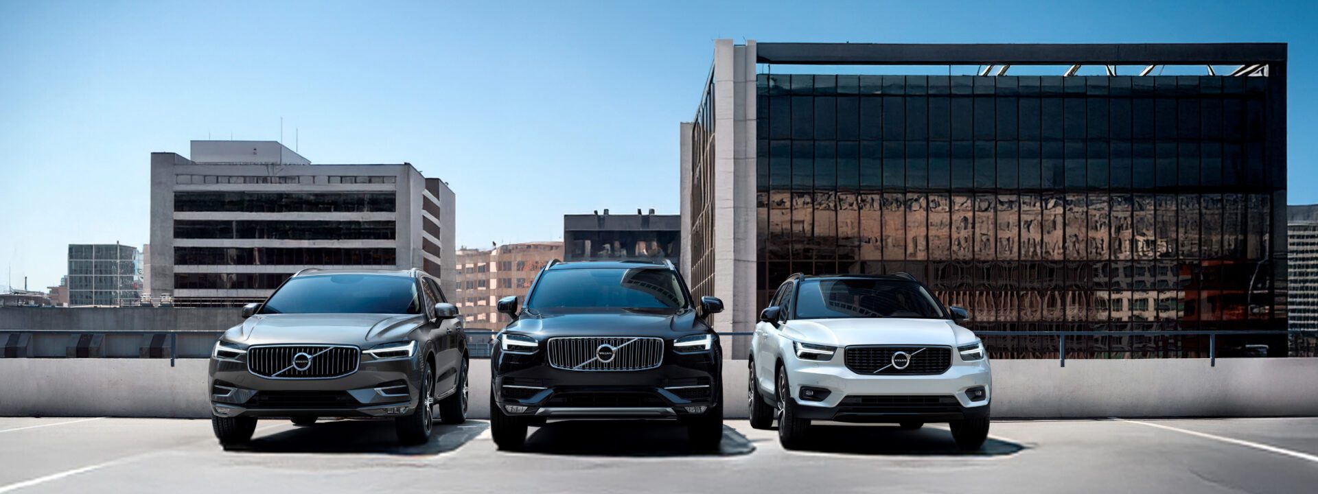 OCS VN DE VUELTA AL COLE